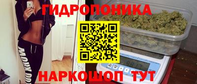 кокс Гусев