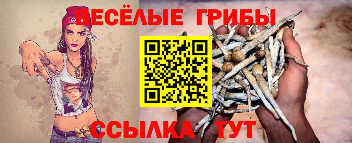 Псилоцибиновые грибы GOLDEN TEACHER  Галлюциногенные грибы GOLDEN TEACHER  Вход с VPN  Изобильный 