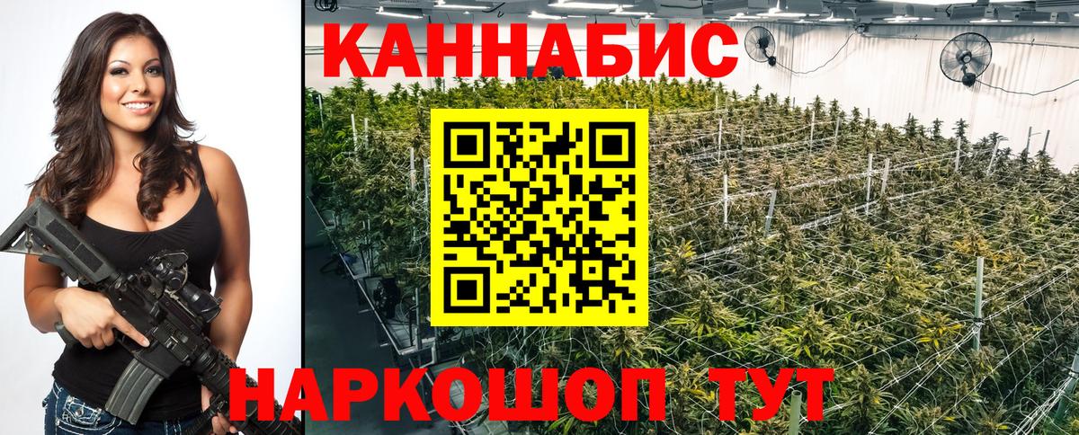 Бошки Шишки SATIVA & INDICA  МАРИХУАНА VHQ  Конопля Bruce Banner  Изобильный  Вход с VPN 